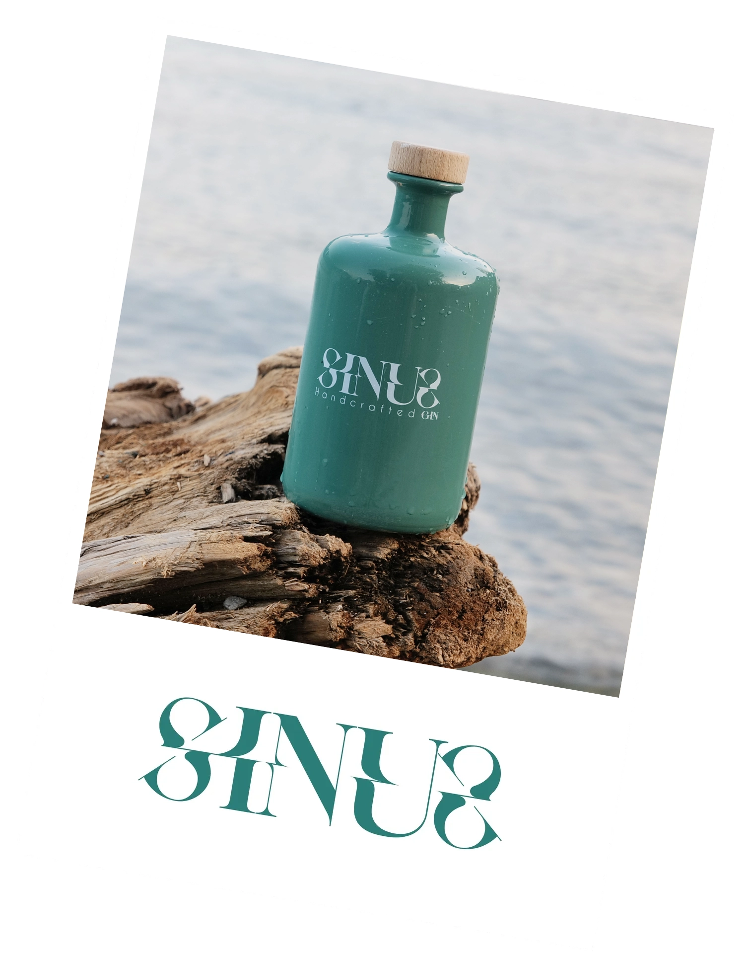 Gin
