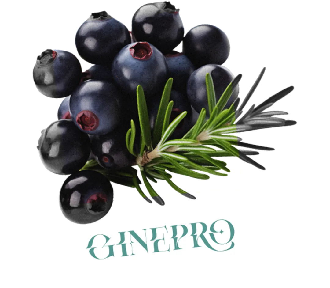 Ginepro