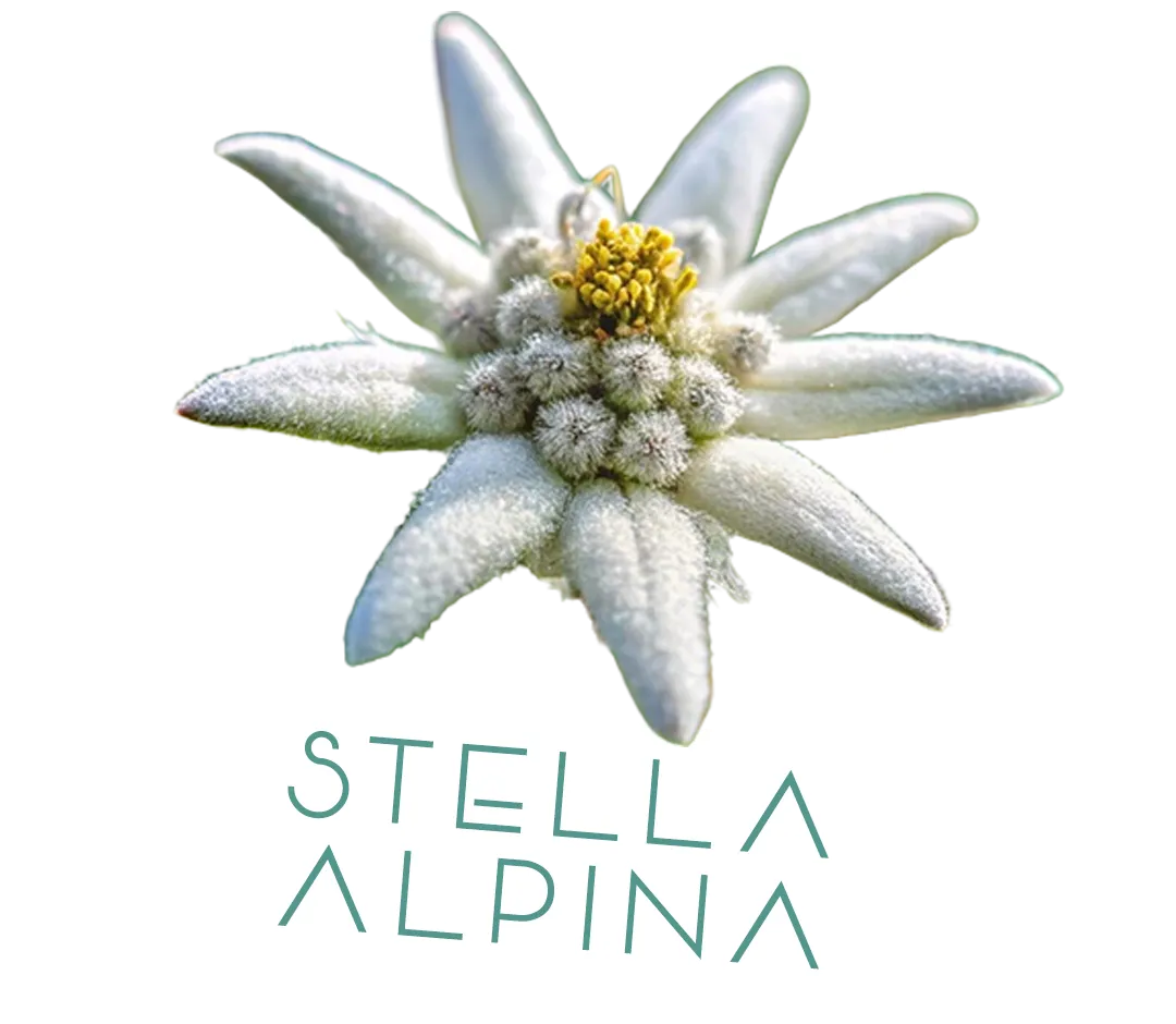 Stella Alpina